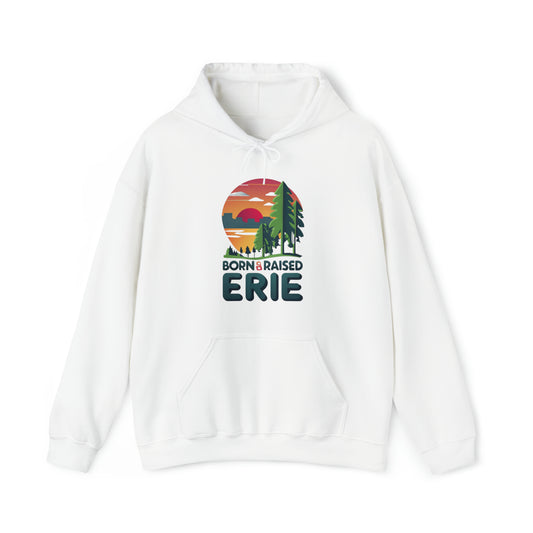 Unisex Erie Custom Hoodie - Heavy Blend Born Raised Design