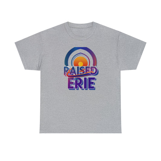 Unisex Heavy Cotton Tee, Custom Erie Design, Raised Lettering Tee, Personalized Cotton T-Shirt, Durable Hoodie-Style Cotton Tee.